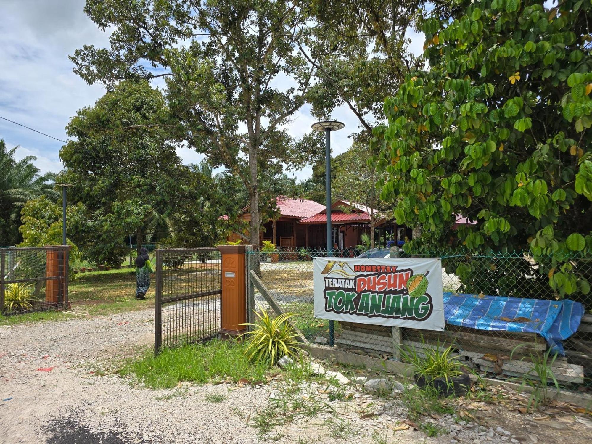 Pool Teratak Dusun Tok Anjang Rumah percutian *